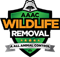 Waukesha Wildlife Removal